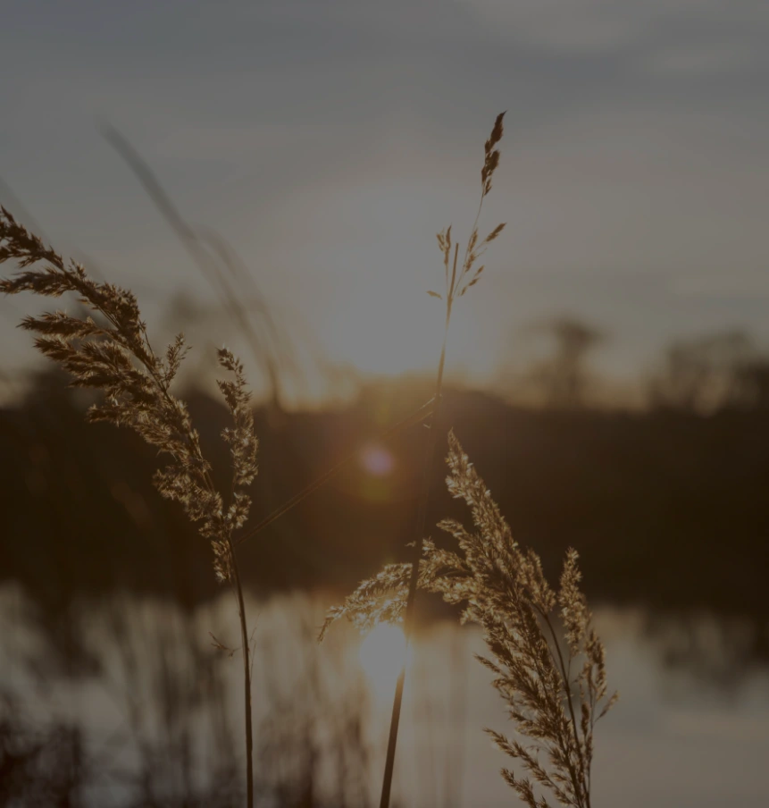 energia duszy konsultacja